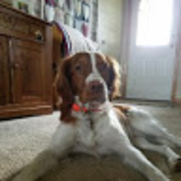 Meet your Posher, Meg - Picture 1 of 1